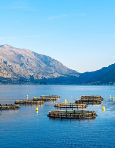 Aquaculture feed supplement in United States