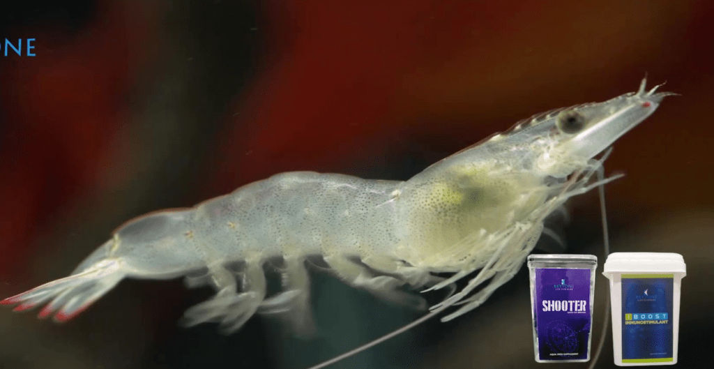 Aqua Medicine Company in United States