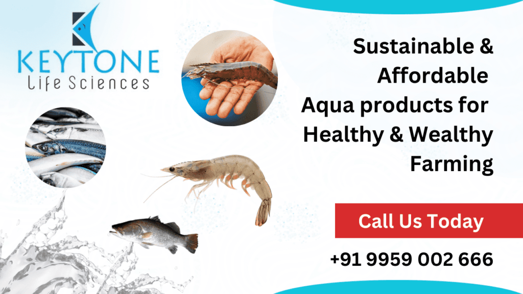 Premium Aquaculture Feed Supplements